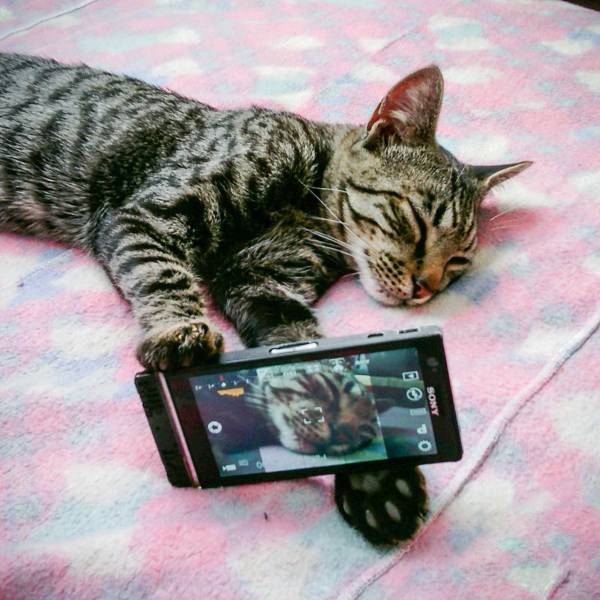 Daily Picdump