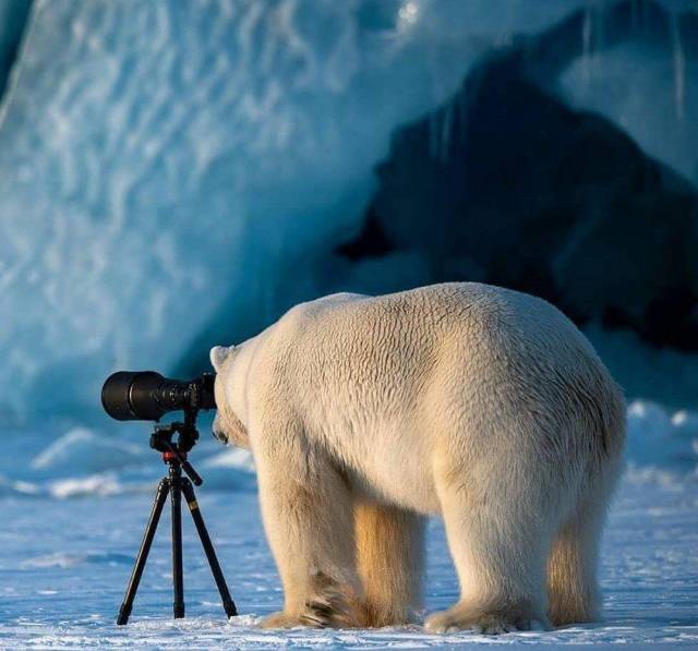 Daily Picdump