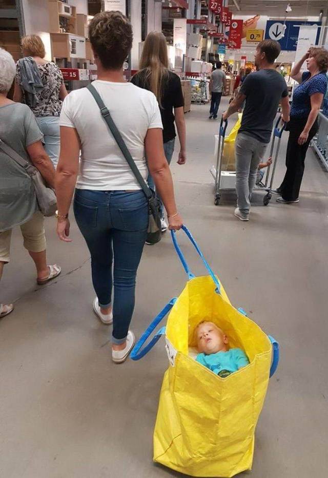 Daily Picdump