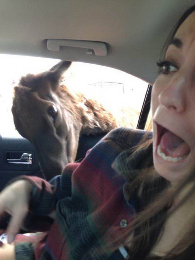 Daily Picdump