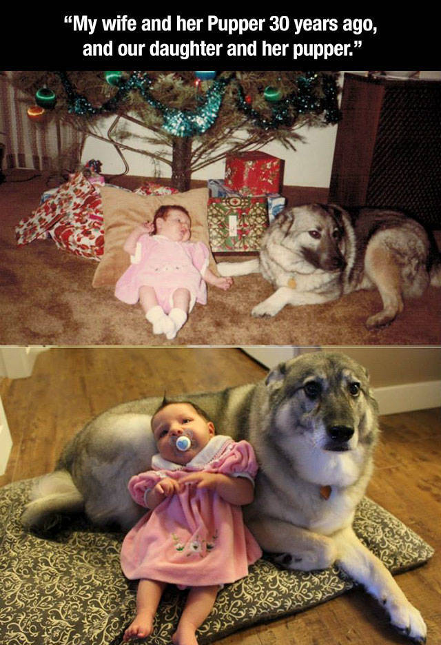 Photos That Will Make You Feel Good