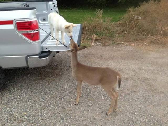 Daily Picdump
