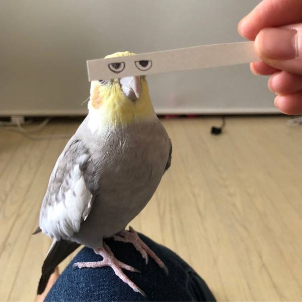 Daily Picdump