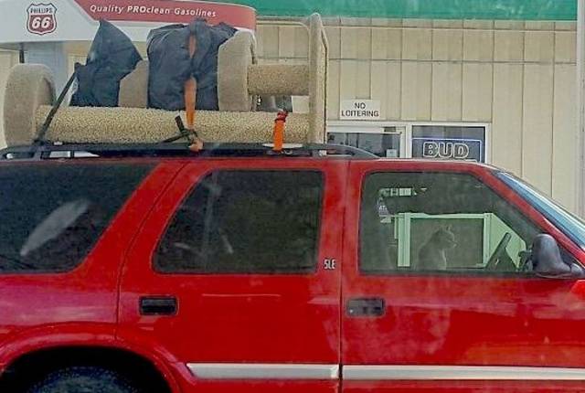 Hard-to-explain WTF Photos