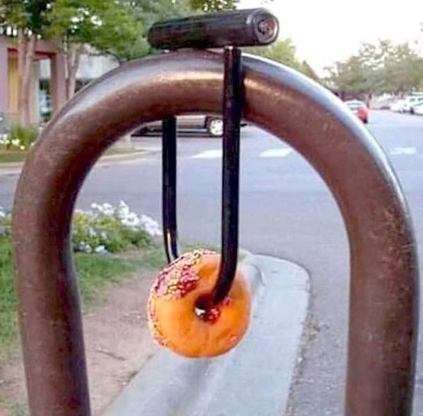 Hard-to-explain WTF Photos