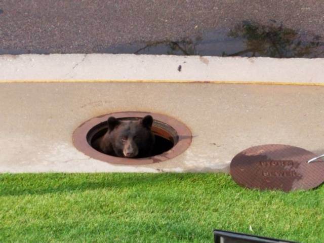 Hard-to-explain WTF Photos