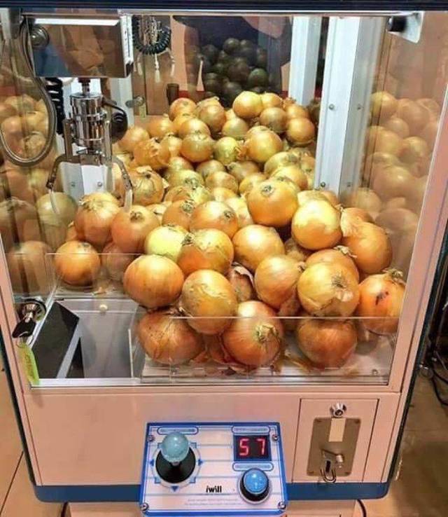 Hard-to-explain WTF Photos