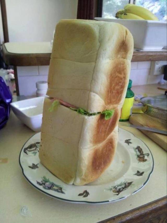 Hard-to-explain WTF Photos