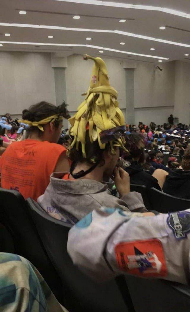 Hard-to-explain WTF Photos