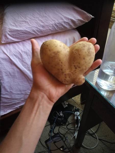 Morning Picdump