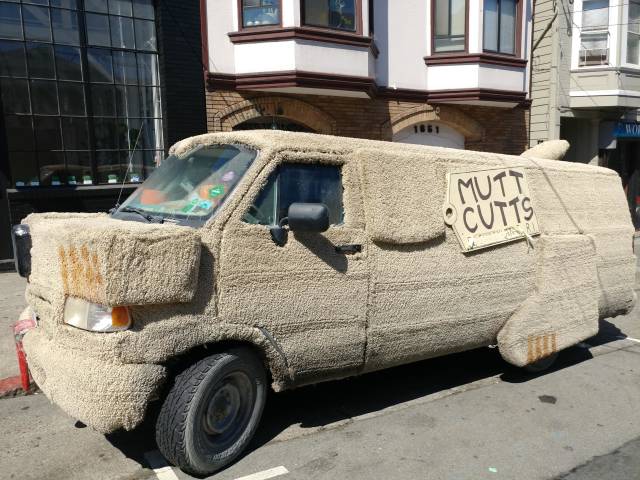 Morning Picdump