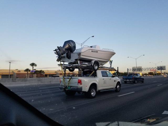 Morning Picdump