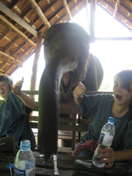 Morning Picdump