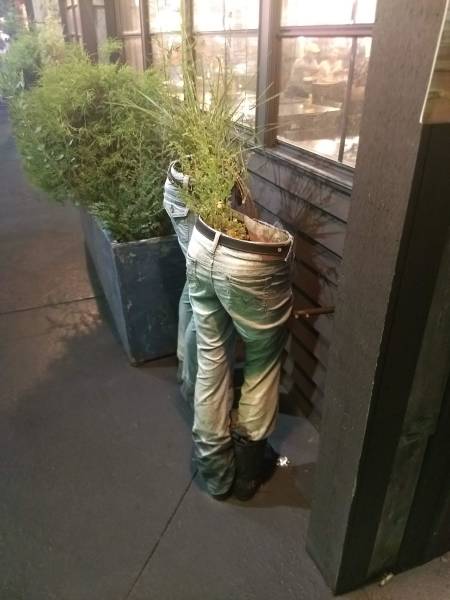 Morning Picdump