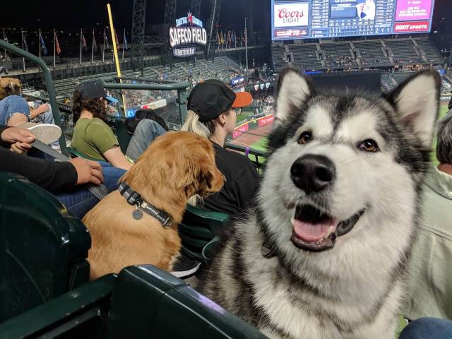 Daily Picdump [WEEKEND EDITION]