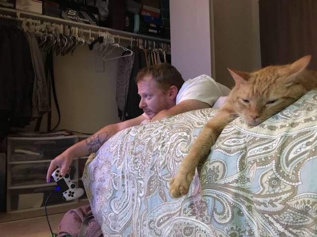 Daily Picdump [WEEKEND EDITION]