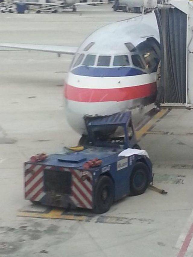 Daily Picdump