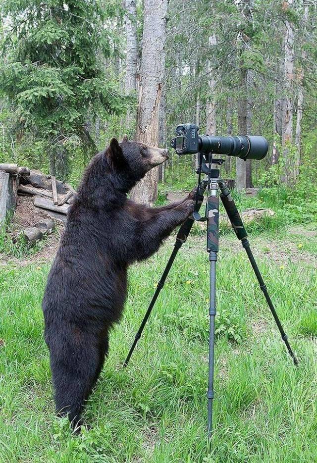 Daily Picdump