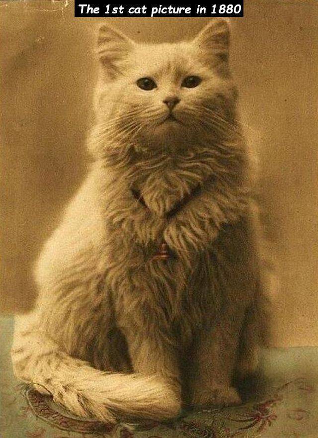 Daily Picdump [WEEKEND EDITION]