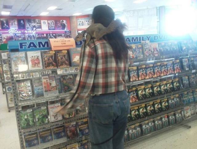Daily Picdump