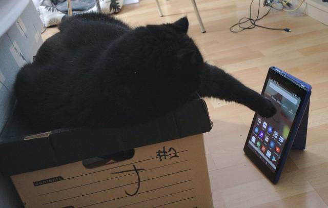 Daily Picdump