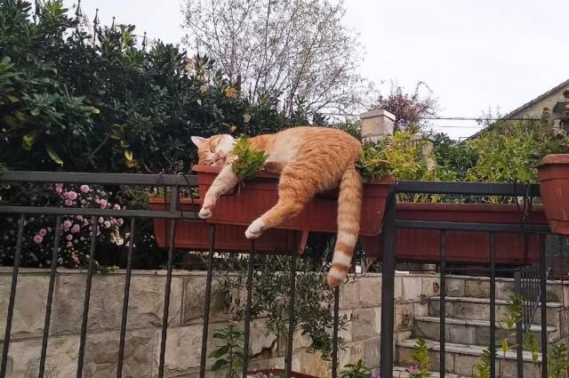 Daily Picdump
