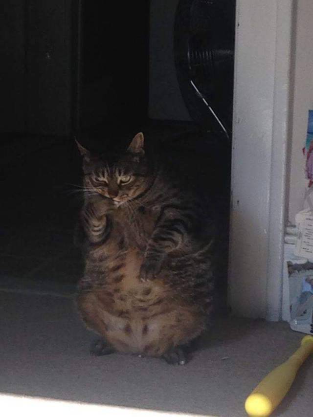 Daily Picdump