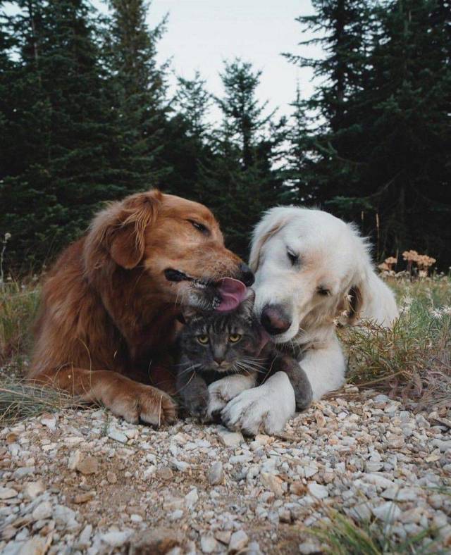 Daily Picdump