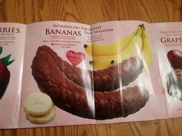 Daily Picdump