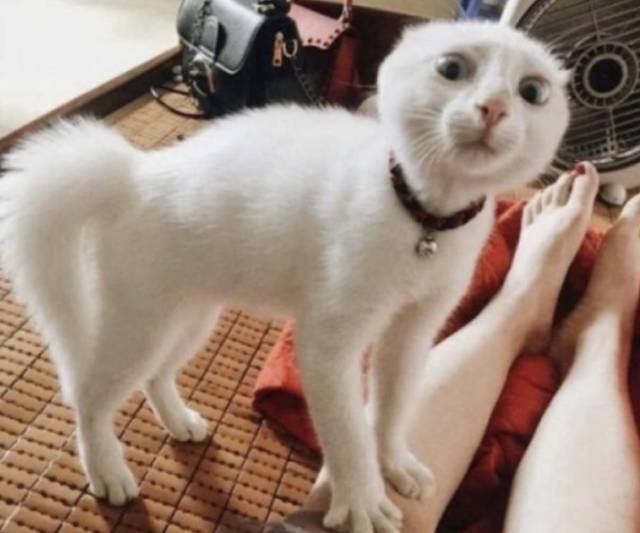 Daily Picdump
