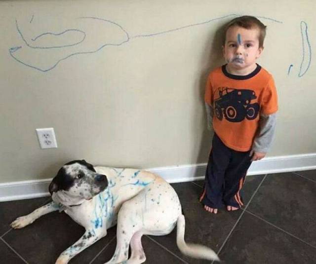 Daily Picdump