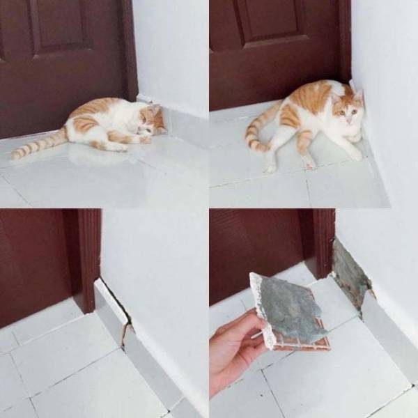 Daily Picdump