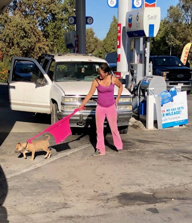 Daily Picdump