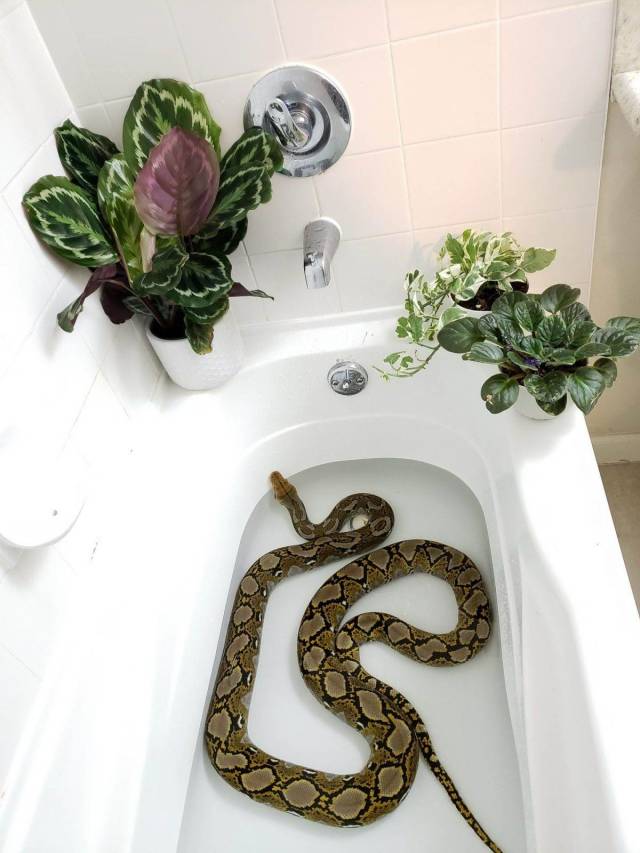 Daily Picdump