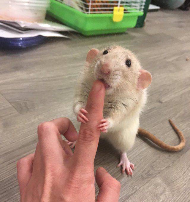Daily Picdump