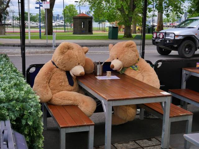 Morning Picdump