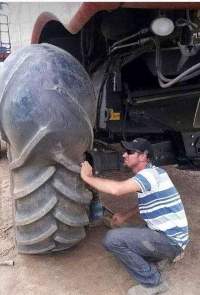 Morning Picdump