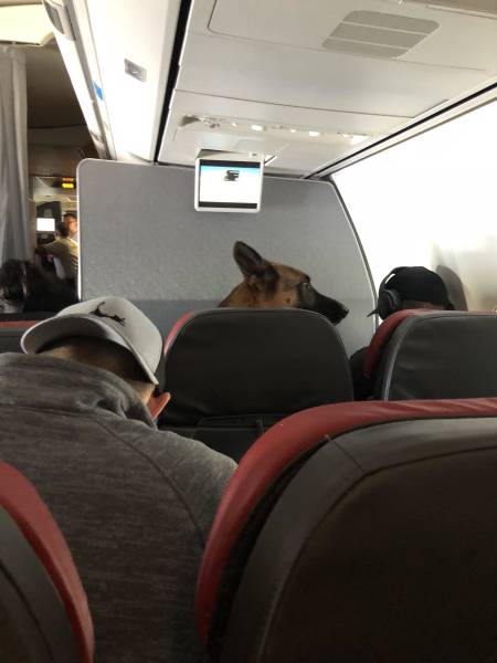 Morning Picdump