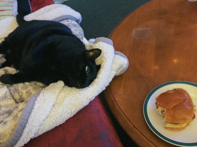 Daily Picdump [WEEKEND EDITION]