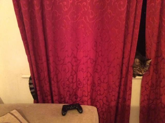 Daily Picdump [WEEKEND EDITION]