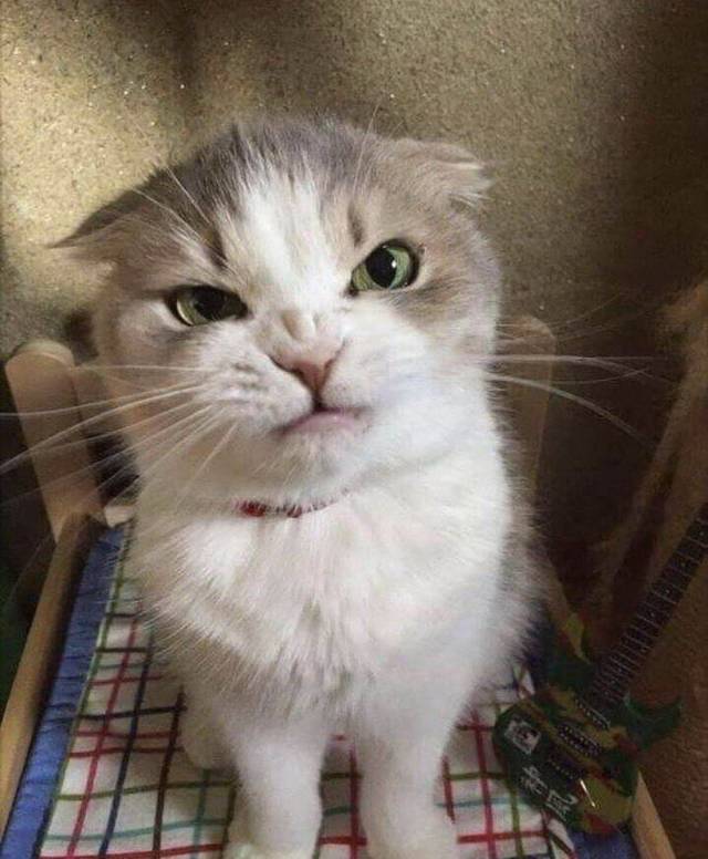 Daily Picdump [WEEKEND EDITION]