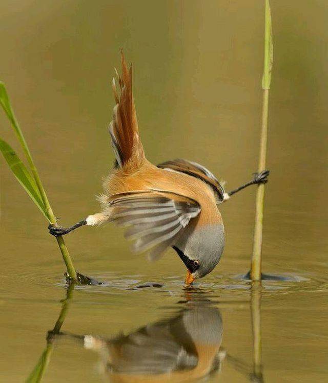 Daily Picdump [WEEKEND EDITION]