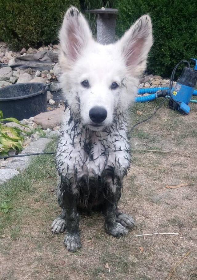 Daily Picdump [WEEKEND EDITION]