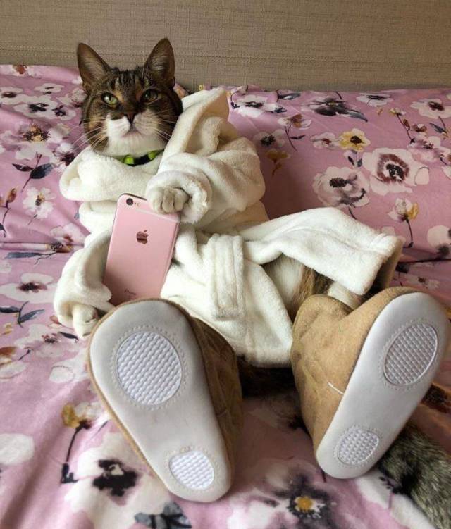 Daily Picdump