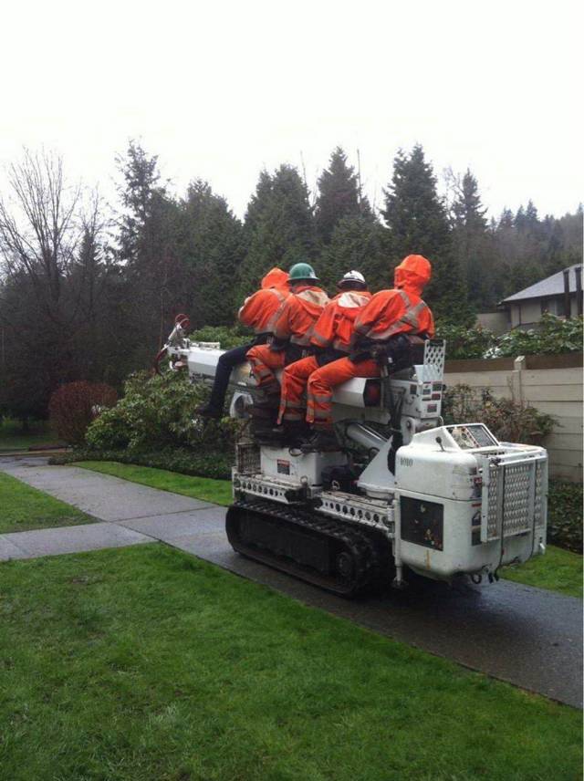 Daily Picdump