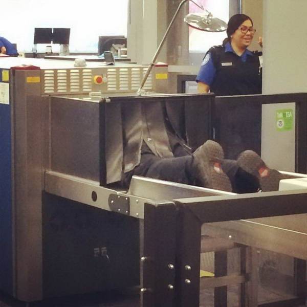 Daily Picdump