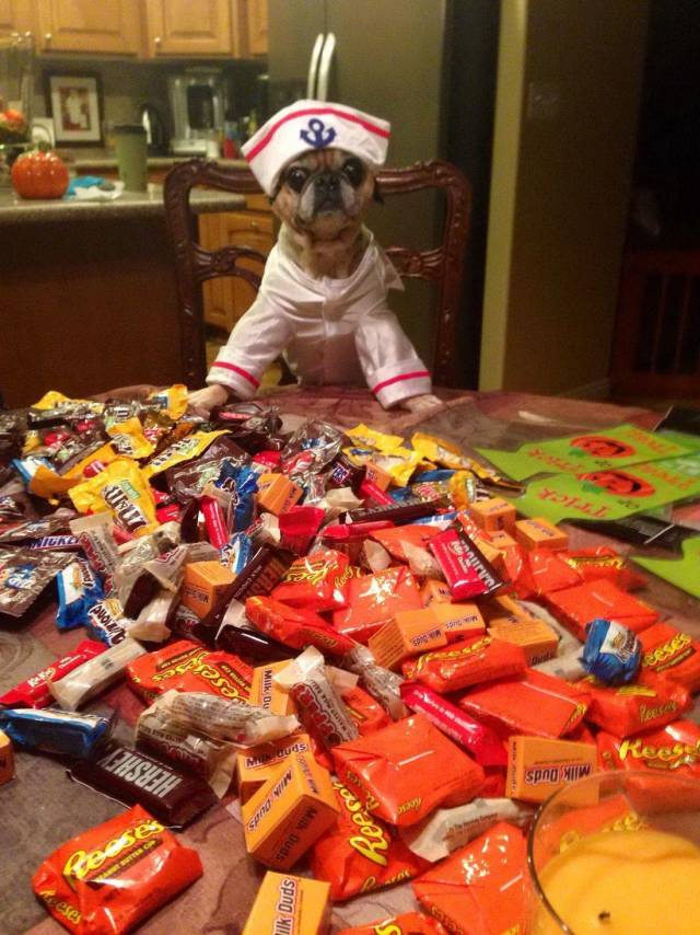Daily Picdump