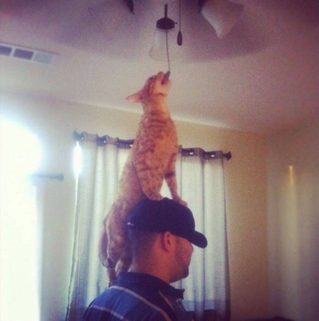Daily Picdump
