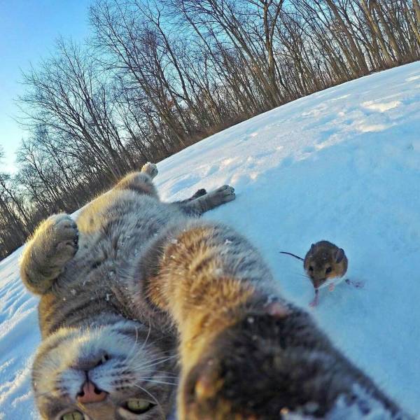 Daily Picdump