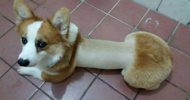 Daily Picdump